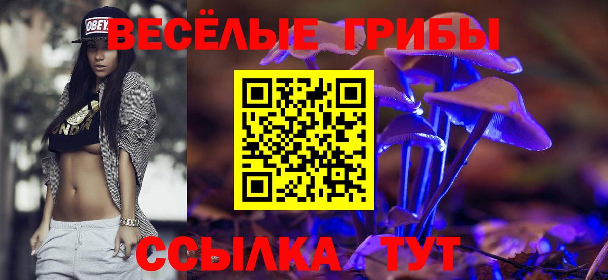 Лениногорск  Галлюциногенные грибы Magic Shrooms  Вход с VPN 